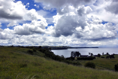 Frutillar img 2