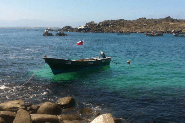 Isla Damas img 2 (1)