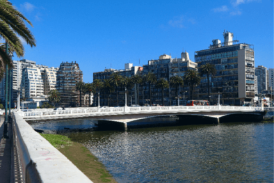 Viña del mar img 1 (1)