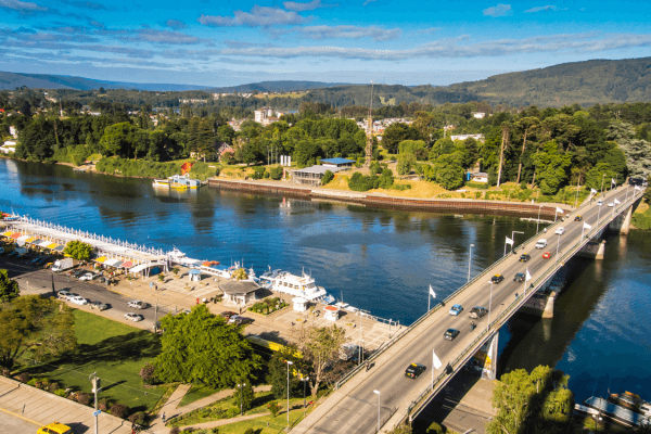 valdivia img 1 (1)