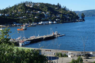 valdivia img 3 (1)